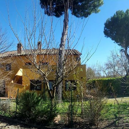 Villa Agriturismo La Cella Arezzo Exterior foto